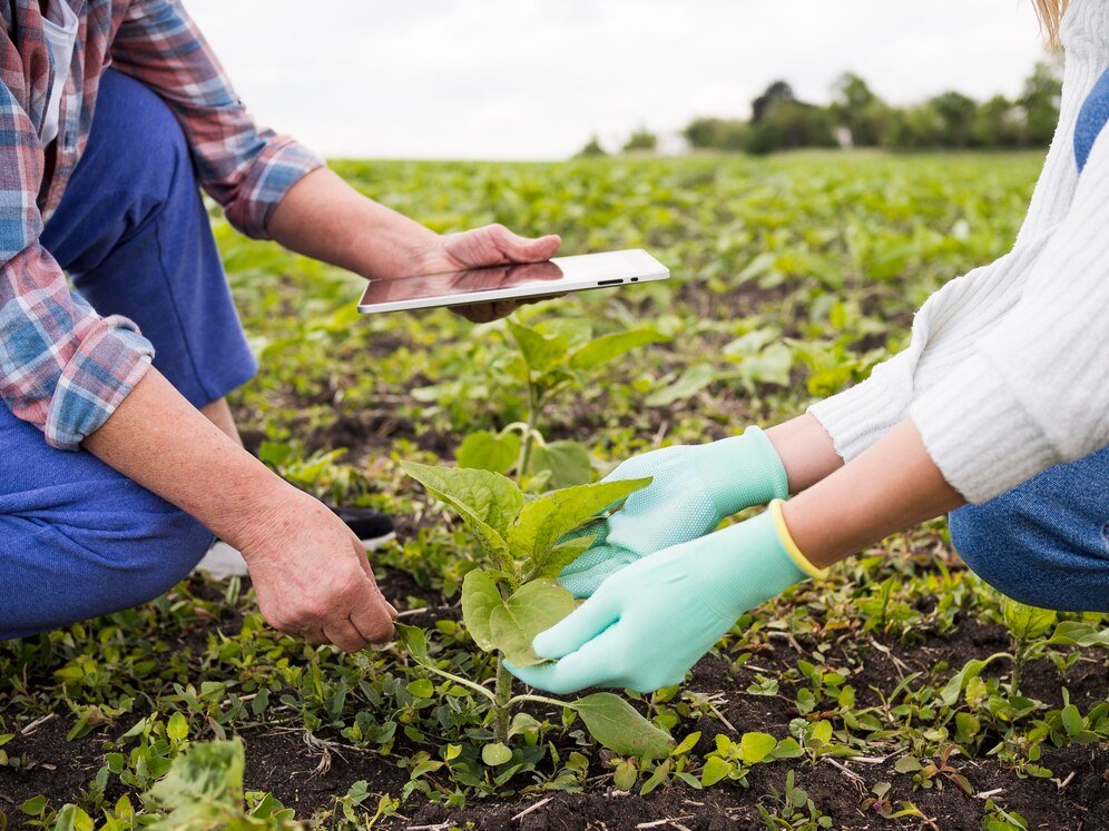 people farming together