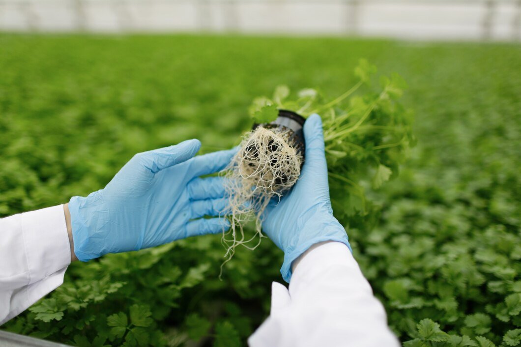 plants being planted