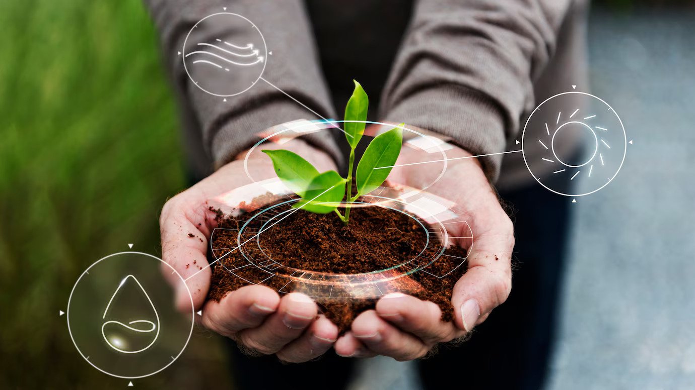 hand planting tree